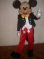 /album/galeria-de-fotos-pagina-inicial/a01-mickey-mouse-venda-e-aluguel-de-fantasias-disney-grande-jpg/